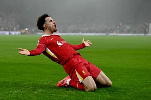 1735270128074020221.jpg 1735254903917.jpg